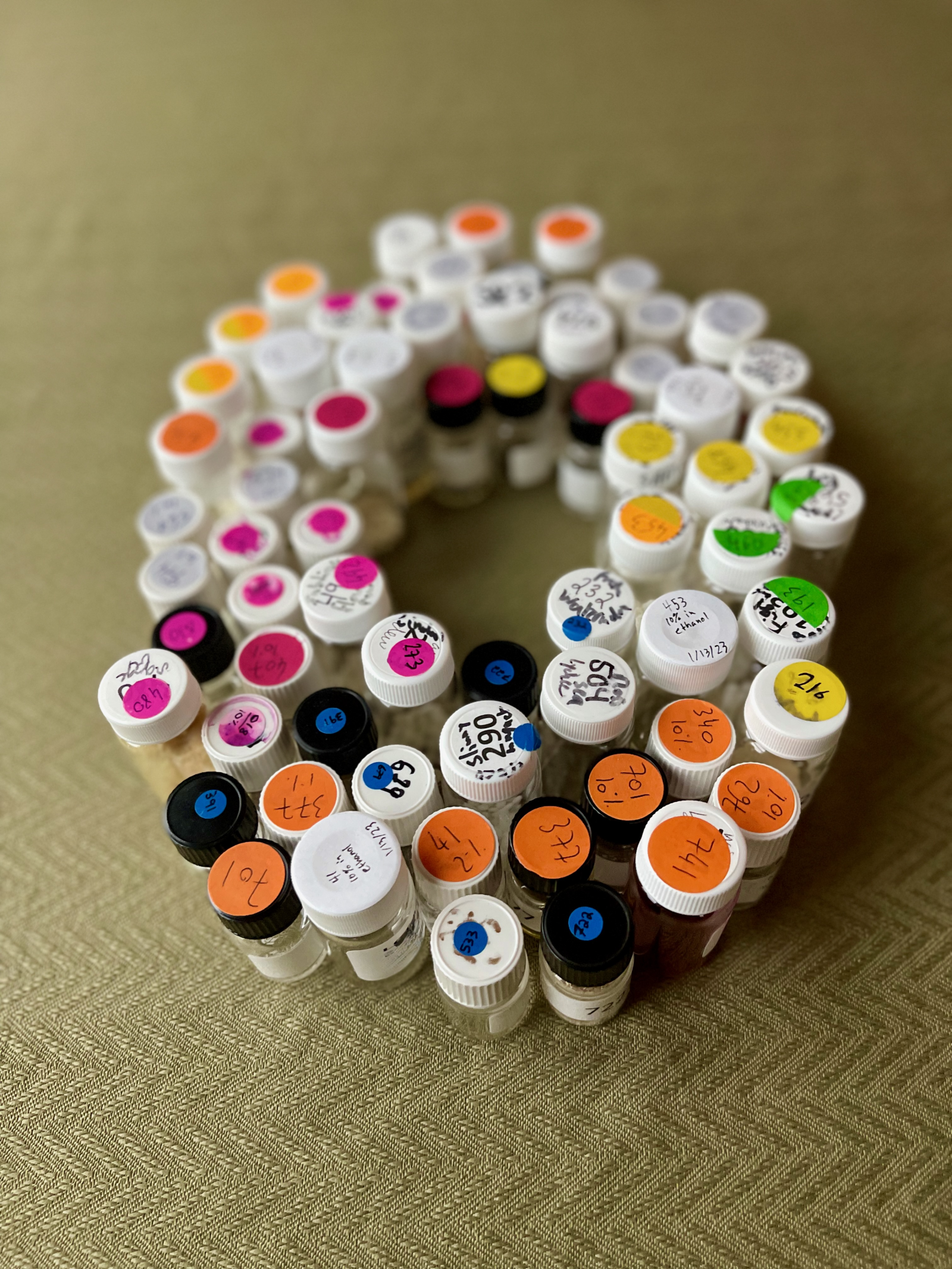 A cavalcade of scents. Photo via Osmo.