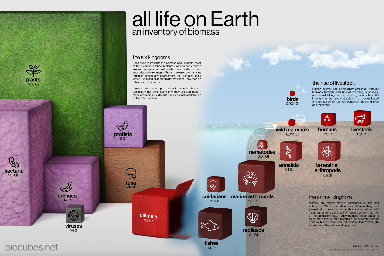 biocubes by Brice Ménard and Nikita Shtarkman